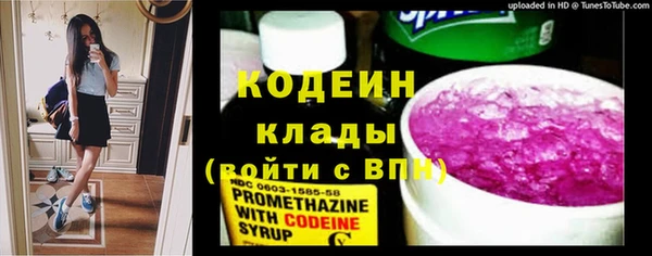 дживик Киренск