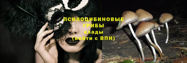 дживик Киренск